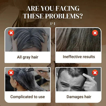 Naturique – Japanese Long-Lasting Natural Hair Dye Shampoo || Buy 1 Get 1 Free !!